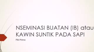 Inseminasi buatan IB Sapi