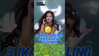 3 Ikan Paling Berbahaya Di Dunia #shorts #shortvideo