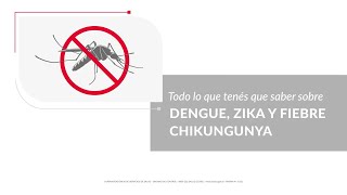 Prevención | Dengue