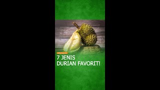 7 Jenis Durian Paling Menggoda! Eksplorasi Rasa yang Harus Kamu Coba!