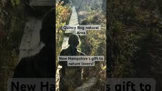 Gift of a Natural Area in New Hampshire to share with outdoor enthusiasts #naturegift