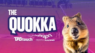 The TABtouch Quokka 2023