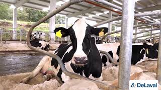 DeLaval comemora 25 anos de Ordenha Robotizada