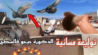 توليعة مسائية طلقت الذكورة حيحو فالسطح🔥🔥🔥 🤯🤯🤯