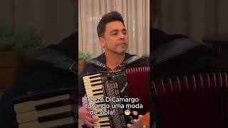 Zezé tocando uma moda de viola #zezedecamargo #viola #sanfona #musica #sertanejo