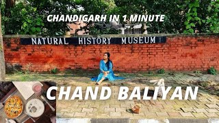 Chandigarh in 1 minute || Chand Baliyan || Aditya A.