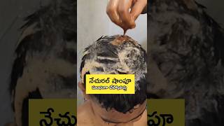 బయో enzyme లేకపోతే ఇలా చేసుకోవచ్చు, natural shampoo