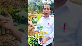 presiden Jokowi antisipasi pemerintah mengenai krisis pangan #jokowi #kopi #shorts