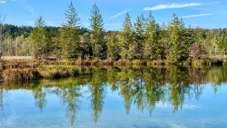 Spaziergang zum Ickinger Wehr & Ickinger Weiher (in 4K)