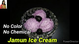 बिना कलर & केमिकल नेचरल जामुन,आईसकी्म Jamun Ice Cream🍧🍧 // Indian Blackberry Ice Cream