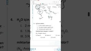 10.sınıf güncel meb kazanım kavrama testi 6 2024 DETAYLI ANLATIM
