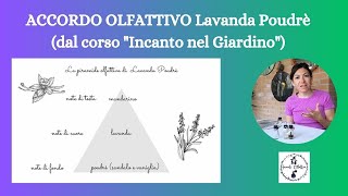 PROFUMO LAVANDA POUDRE- da: "Incanto nel Giardino"- essenze e fomulazione