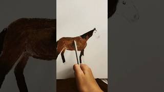 Drawing one of the horses I ride,Dan #art #horse #artwork