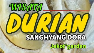 WISATA  DURIAN SANGHYANG DORA, MAJALENGKA bagian 1