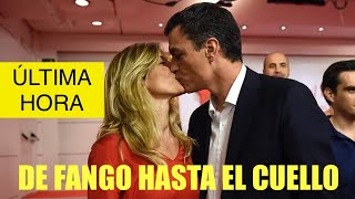 🛑ÚLTIMA HORA🛑DECLARACIONES TESTIGOS CASO BEGOÑA GÓMEZ ‼️FANGO HASTA EL CUELLO ‼️‼️