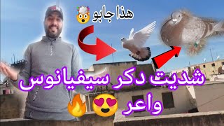 ميمكنش الدكورا جابو ليا دكر سيفيان لون واعر 😍🤯🤯+توليعة فالحمام