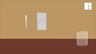 Separation and detection of amino acids by paper chromatography