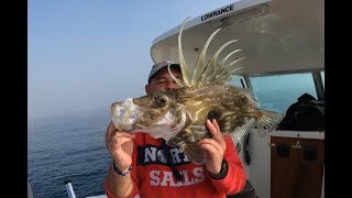 PESCA FONDEADA, CAPTURA DE GALLO PEDRO