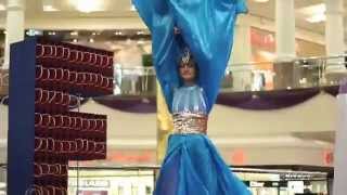 DUBAI SHOPPING FESTIVAL - Esoofi Kader videos 51