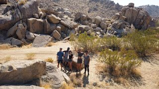 Desert camping with the Rosewood crew