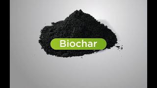 Conférence 2024 - Passer à des gigatonnes de Biochar