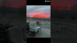 Which ￼sunset is your favorite?(20)#sunsets#nature#sky#sunsetview#sunrise#viral#shorts#fypシ