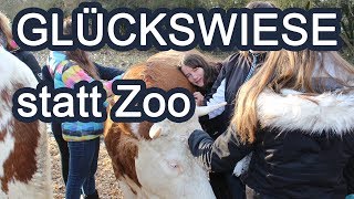 GLÜCKSWIESE statt Zoo - Der etwas andere Wandertag