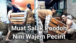 Pemuatan Salak Pondoh Nini Wajem Pecirit