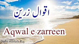 beautiful aqwal e zareen بہترین اقوال زریں