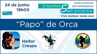 Encontros sem Encontro - "Papo de Orca"