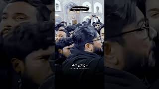 𝗔𝗿𝗯𝗮𝗯 𝗥𝗮𝘇𝗮 𝗠𝗼𝗹𝗮 Mir Hasan Mir Whatsapp Status Manqabat #mirhasanmir #reels #ytshorts #status #mhm