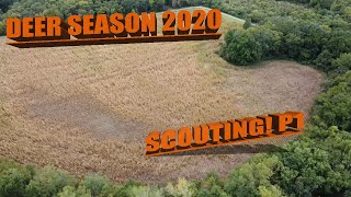 Deer Scouting With a Drone! Preseason