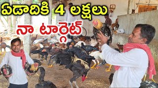 సంవత్సరానికి 4 లక్షలు తీస్తాను natu kolla farm @MalleshAdla