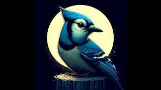 Spiritual Blue Jay Totem Animal