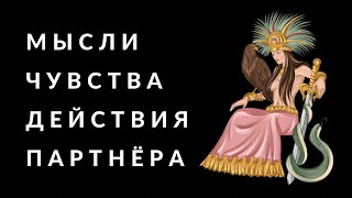 Мысли, чувства, действия загаданного человека. Смотрим на Таро🔮