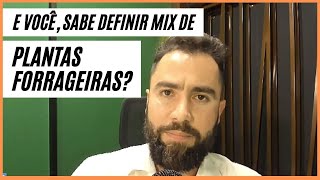 VOCÊ SABE COMO DEFINIR UM BOM MIX DE PLANTAS FORRAGEIRAS? | Manejo de SOJA para ALTA PRODUTIVIDADE