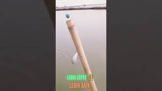 LEBIH CEPAT ‼️LEBIH BAIK