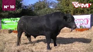 Villa Maria  Toros PC Negros Corral 27  N 10