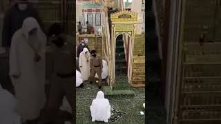 Riaz Ul Jannah #madinah #riazuljannah #madina #makkah #kaaba #shorts #short #youtubeshorts #ytshots