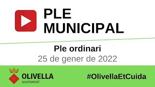 Ple ordinari del 25 de gener de 2022