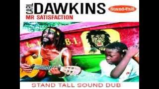 CARL DAWKINS satisfaction DUB