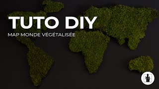 TUTO DIY - Carte du Monde Végétalisée 🌿