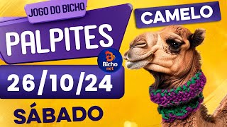 PALPITE DO DIA 26/10/2024 - JOGO DO BICHO 🍀 TODAS AS LOTERIAS 🍀