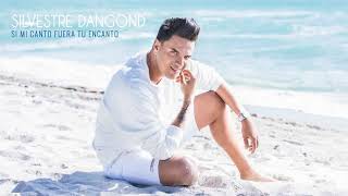 Si mi canto fuera tu encanto silvestre dangond (audio)