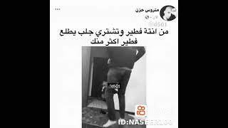 من انته فطير وتشتري جلب افطر منك🤣