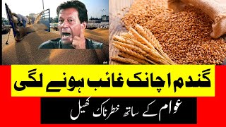 Today wheat rate in Punjab Pakistan 2023|Wheat price in Pakistan 2023|Gundam ka rate today Punjab