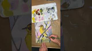 Painting a Palm Warbler as Part of My 100 Day Project