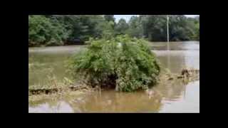 Aug  5, 2013 Flood