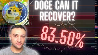 Doge: CAN IT GO TO THE MOON AGAIN?