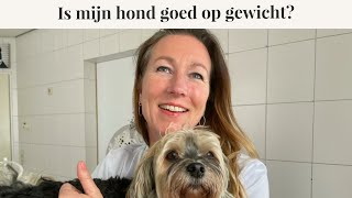 Is mijn hond goed op gewicht? | Lichaamsconditie score hond